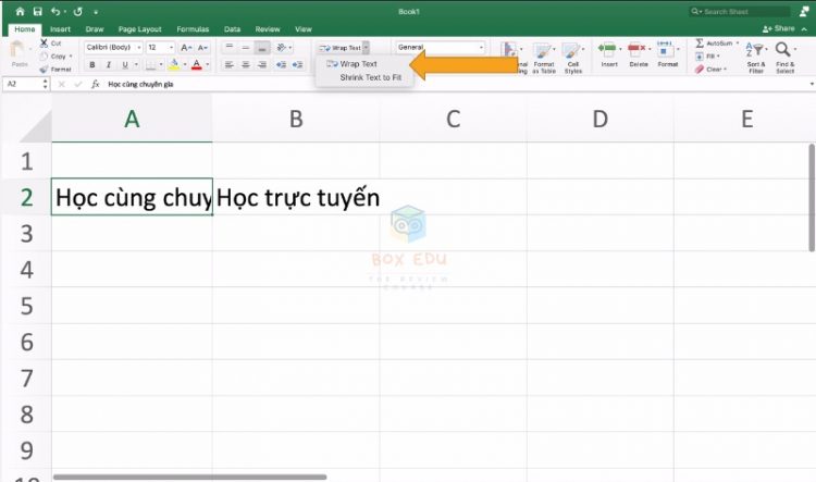 Cong-cu-Wrap-Text-trong-Excel-1